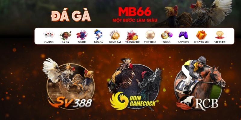 77bet what is casino bonus wagering
