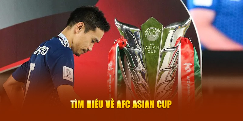 77bet Ws168 Đá Gà