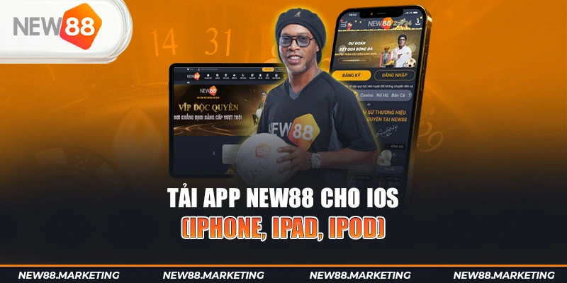 77bet gà chọi cậu thanh