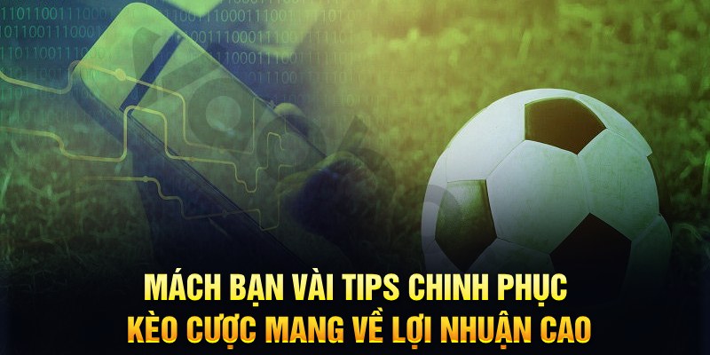 77bet đăng nhập phỏm hàng đầu