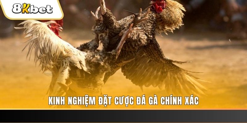 77bet xổ số thứ bảy hàng tuần