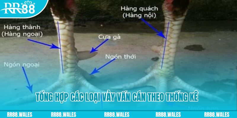 77bet HB Điện Tử