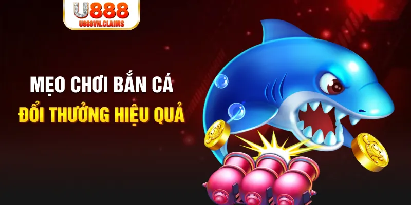 77bet gà chọi cam ranh