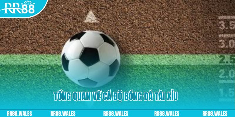 77bet đăng nhập roulette online