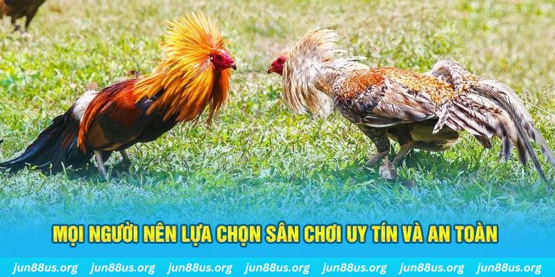 77bet Cỡ bảy