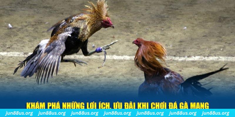 77bet đăng nhập liêng live