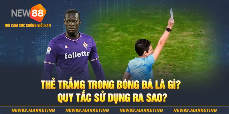 77bet đăng nhập sòng bạc hôm nay