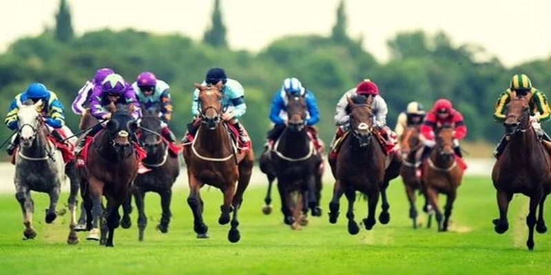 77bet đăng nhập roulette trực tiếp
