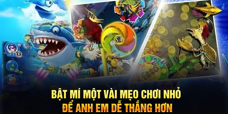 77bet xổ số thứ ba