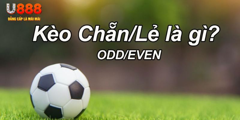 77bet đăng nhập sòng bạc 2024