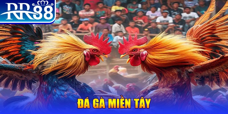 77bet người chia bài trong casino gọi là gì